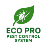 cropped 1 removebg preview.png