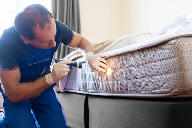 bed bug infestation and treatment service. bugs extermination bed bug infestation and treatment service. bugs extermination