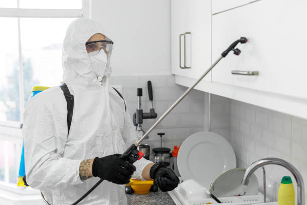 young male exterminator worker spraying insecticide chemical in kitchen young male exterminator worker spraying insecticide chemical in kitchen