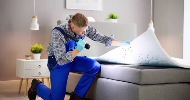 bed bug infestation and treatment service. bugs extermination bed bug infestation and treatment service. bugs extermination